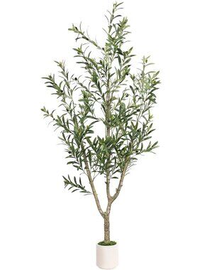 6ft Tall Faux Olive Tree for Indoor Decor | Realistic Artificial Plant in White